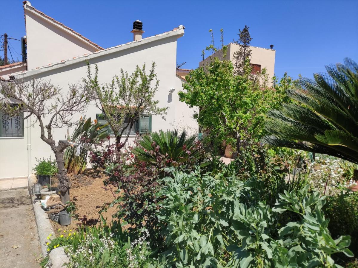 Casa Matzurana Villa Kounoupidhianá Esterno foto